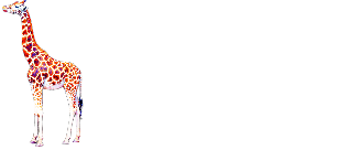 Giraffe — Элитное экскорт-агентство в Новосибирске